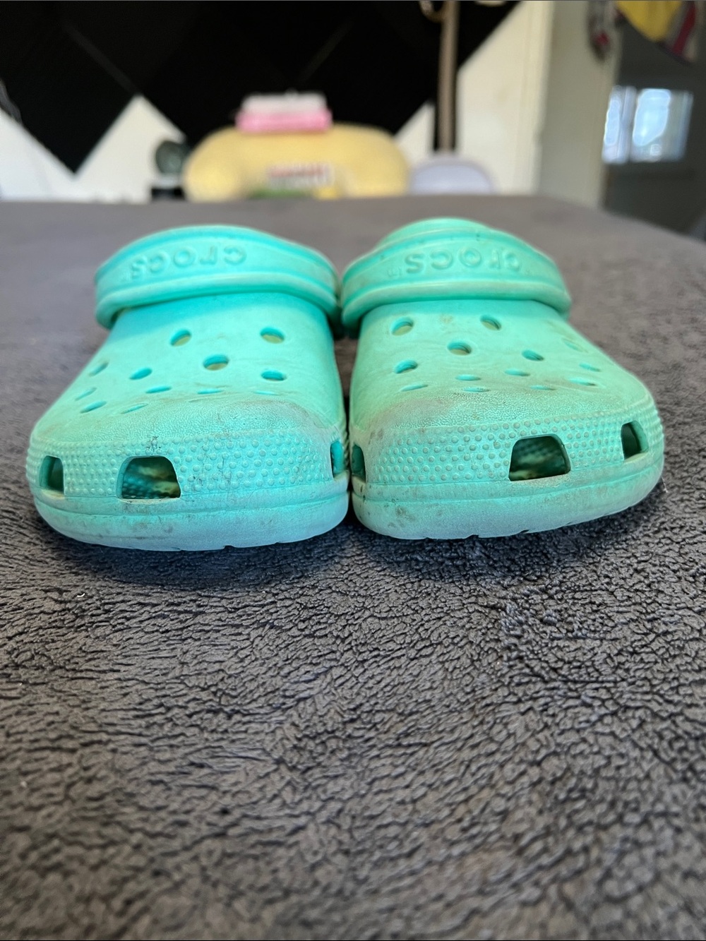CROCS Classic Clog in Turquoise Green